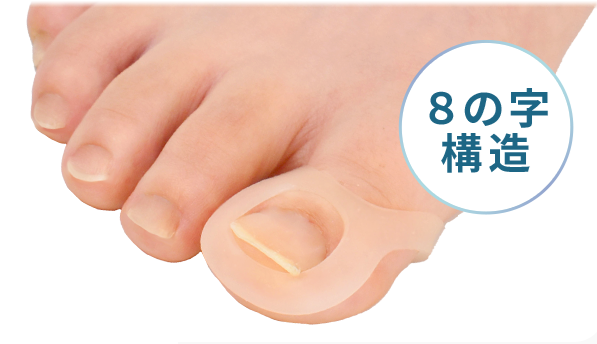 8の字構造